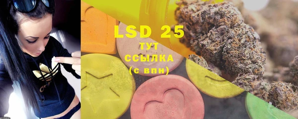 mdpv Инсар