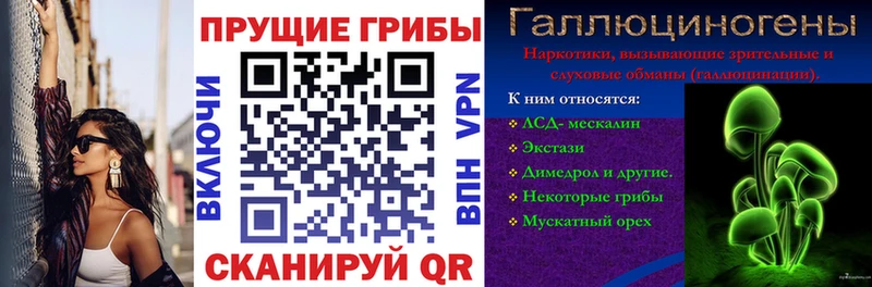 Псилоцибиновые грибы ЛСД  Купить где  Пересвет 