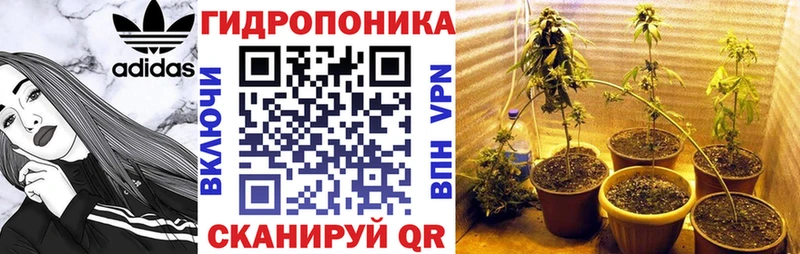 Купить где  Пересвет  Каннабис сатива 